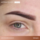 Perma Blend Luxe - Brow Chicka Wow Wow Brow Set (8 x 15 ml)
