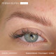 Perma Blend Luxe - Brow Chicka Wow Wow Brow Set (8 x 1/5 oz)
