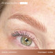 Perma Blend Luxe - Brow Chicka Wow Wow Brow Set (8 x 1/5 oz)