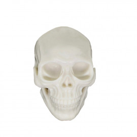 Ava Machine - Practice skull 