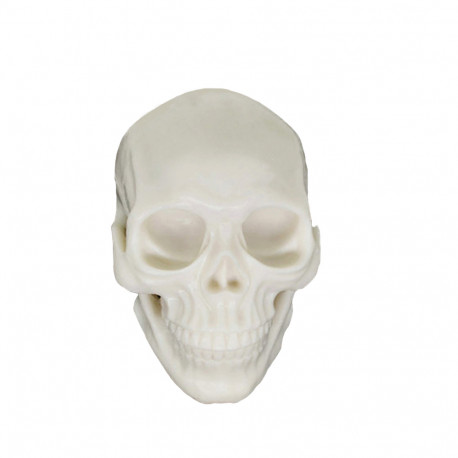 Ava Machine - Practice skull 