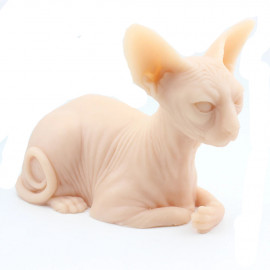 Basic - Practice cat