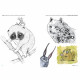 Idea Tattoo Collection - Big Eyes