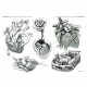Idea Tattoo Collection - Sacred and Anatomic Hearts