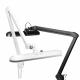 Elegant - 801-TL LED Work Lamp with Adjustable Vice, Dimmable Light and Color Control