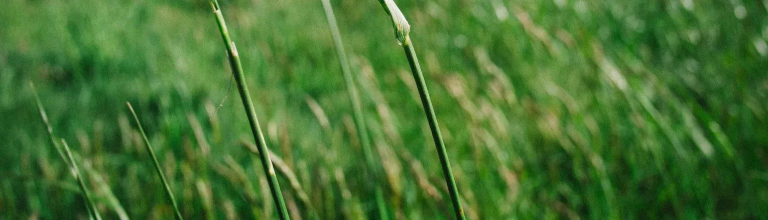 Nová řada tetovacích strojků  Tattoo Machine